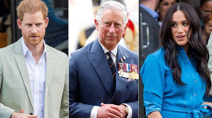 Prince Harry ‘completely denied’ King Charles ‘any access’ to Archie ...