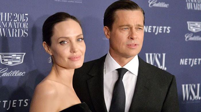 Angelina Jolie Claps Back At Brad Pitt Claims Dubbing It Malicious 6071