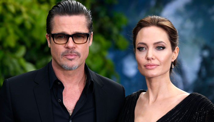 Judge Sides With Brad Pitt After Angelina Jolie Refused To Give Key Docs In Winery Case 