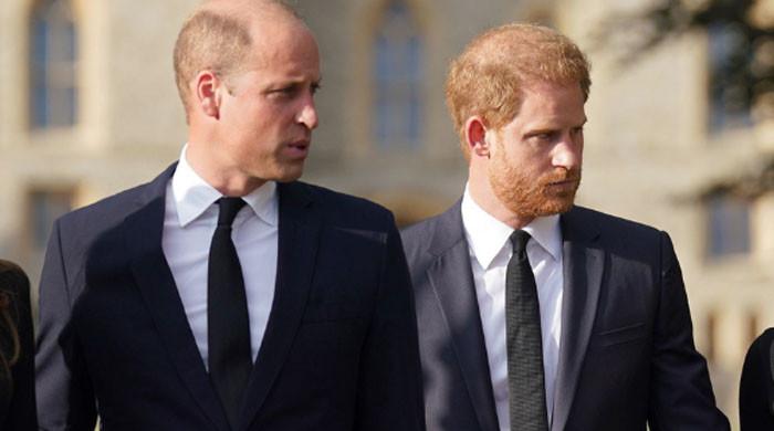 Prince Harry’s royal exit a ‘terrible, ongoing headache’ for Prince William