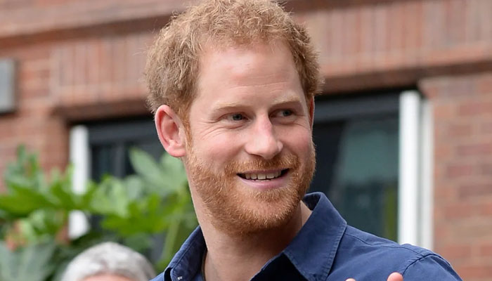 Prince Harry told public perceptions will not change with airing dirty laundry