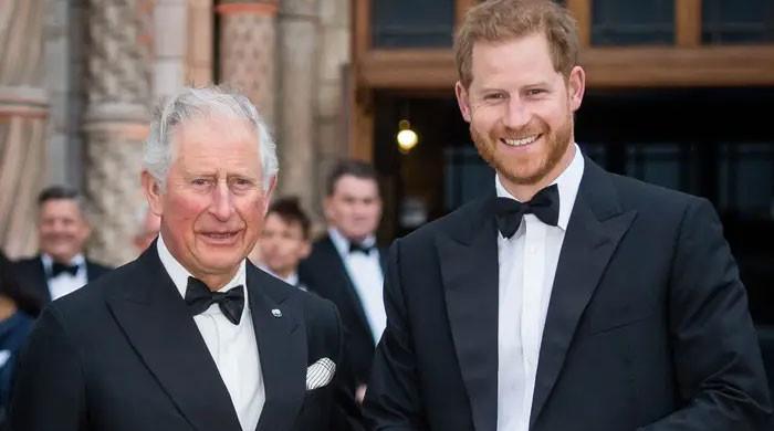 Face recognition expert debunks myth Prince Harry is not really King  Charles son