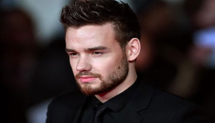 Liam Payne jokes hes never been any good at singing while posing for camera