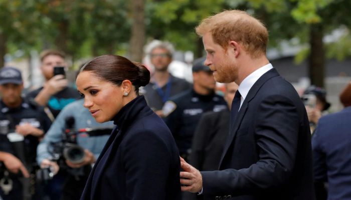 Harry hides names of royals who said Meghan should not be protected