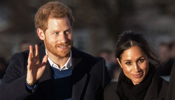 Meghan Markle, Prince Harry ‘willingness to pillory’ Firm ‘only thing keeping them fed’