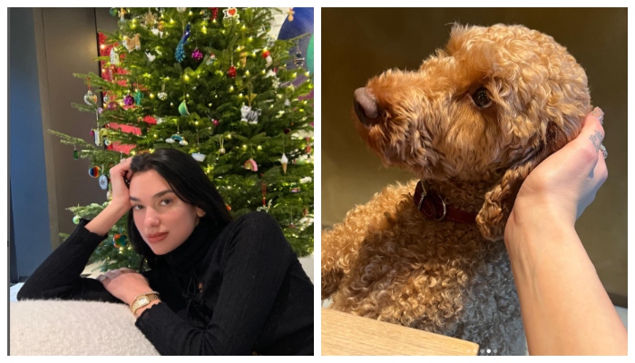 Dua Lipa looks gorgeous as she gets into festive spirit the her dog