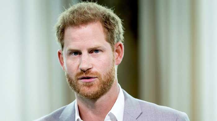 Princess Diana's Bodyguard: Prince Harry Should Have Protection