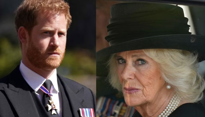 Prince Harry explains how villain Camilla rehabilitated her image with media