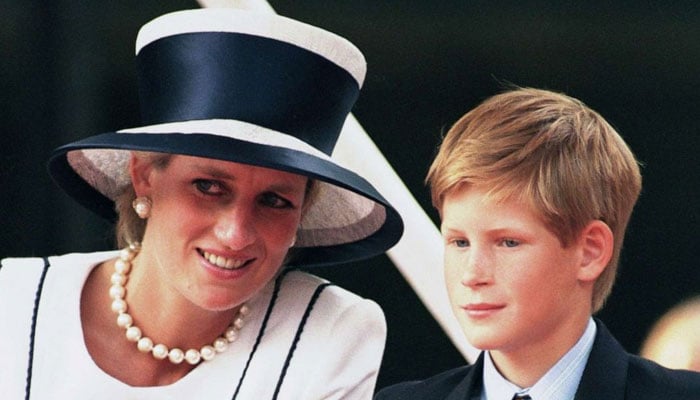 Prince Harry thought Diana disappeared for some time after Paris accident