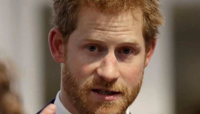 Palace Had 'diaries' And 'schedules' On Prince Harry, Says King Former ...