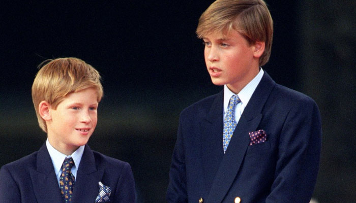 Young Prince Harry mocked William over his future as King: Diana bodyguard