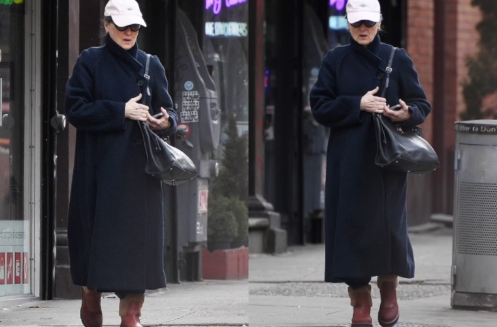 Meryl Streep steped out for a rare outing after being low key for months