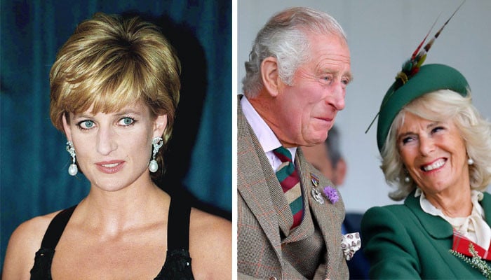 Prince Harry thinks Diana ‘tried stopping’ King Charles, Camilla’s wedding