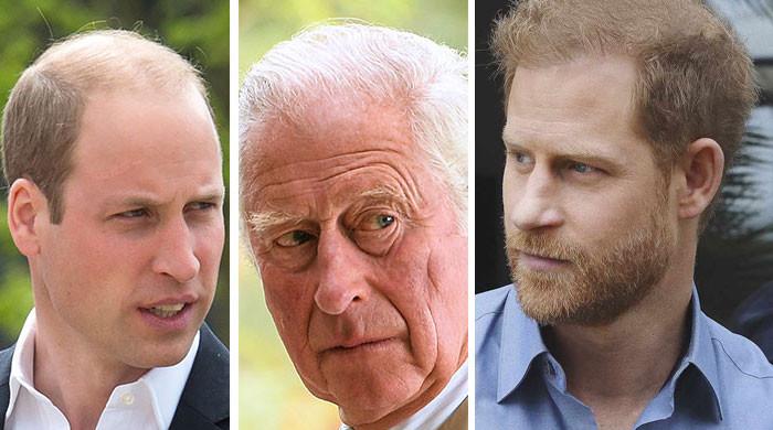 Prince Harry’s ‘cruelty, toxicity, treachery’ has ‘no place’ in Royal ...