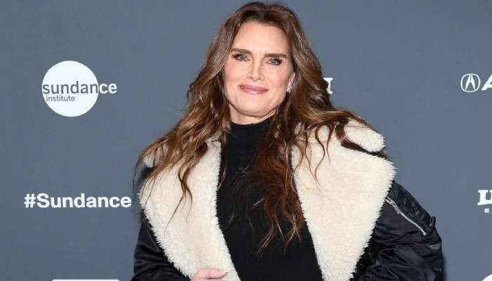 Brooke Shields Dishes Out Details About Sexual Assault In New