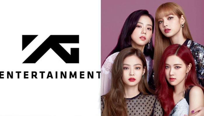 BLACKPINK's Style Transformation From Debut to Now