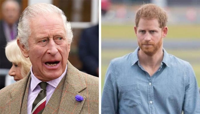 King Charles ‘must Use’ Tell-all To ‘draw A Line’ Under Prince Harry’s ...