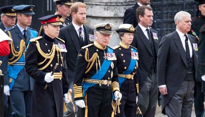 Prince Harry accused of giving severe pain to King Charles and William