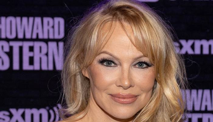 Pamela Anderson shares her thoughts on Julian Assange’s ‘wrongful ...