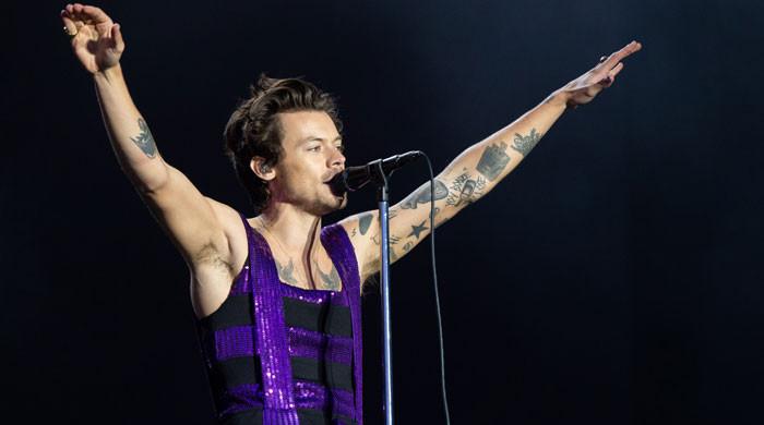 Harry Styles 29th Birthday Concert: Pink Outfit Photos
