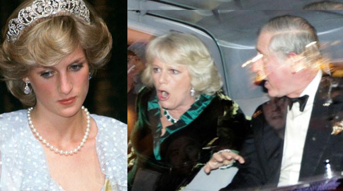 King Charles’s temper had Queen Camilla ‘sympathising’ with late Diana