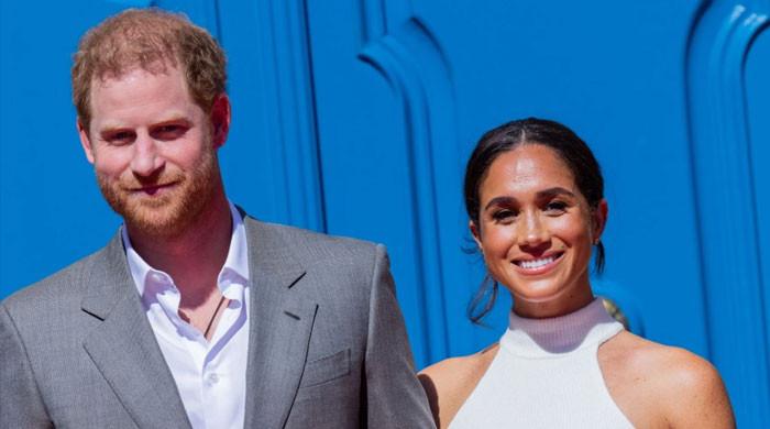 Prince Harry, Meghan Markle ‘cannot survive’ rebranding: ‘They’re done for’