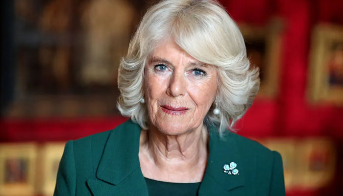 Queen Consort Camilla Calls Off West Midlands Visit Due To ‘seasonal ...