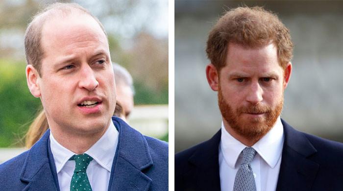 Prince William’s anger at Prince Harry ‘runs deep’: ‘Spare could get ...