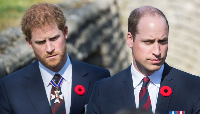 Diana's butler wants Prince William, Harry to know Palace 'secrets and truth'