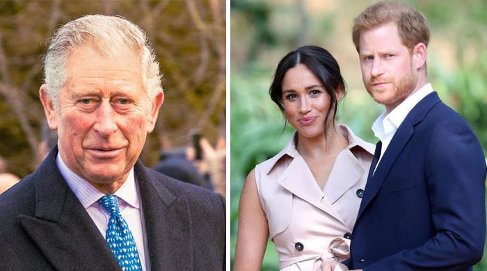 King Charles’ has much ‘resting on his shoulders’ than Harry, Meghan at ...