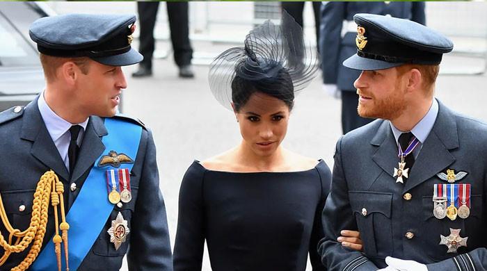 Meghan Markle Meeting With Prince William Was 'classic Collision Of ...