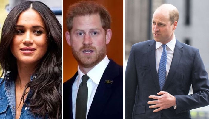 Prince Harry, Meghan Markle’s ‘fractures’ with Prince William ‘have ...