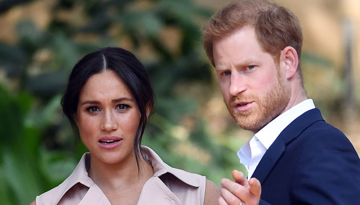 Meghan Markle had super-clear vision of co-parenting with Prince Harry