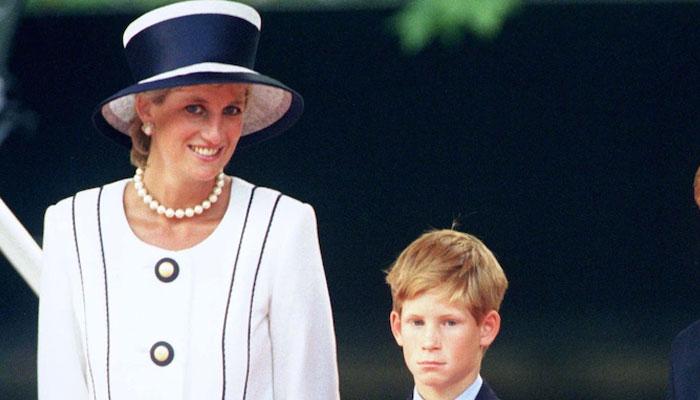 Prince Harry admits surrogate mums made him feel better after Diana death