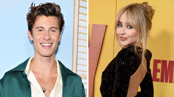 Who Is Dr. Jocelyne Miranda? About Shawn Mendes' Rumored Girlfriend