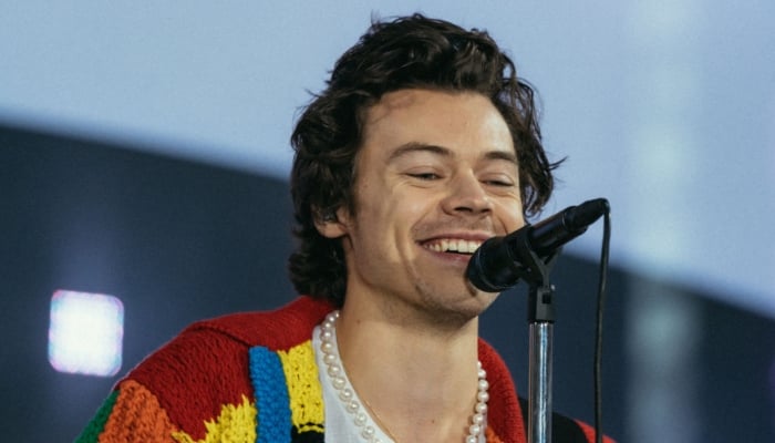 Harry Styles cheekily responds to very risqué sign from fan during Australia gig