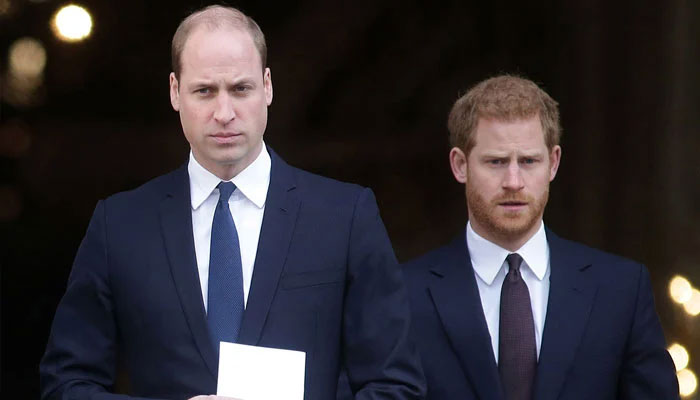 Prince William reminded Prince Harry he wanted quiet wedding with Meghan