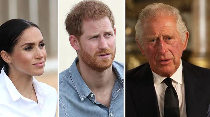 King Charles’ let Prince Harry, Meghan Markle ‘drag on drama’ for ‘too ...