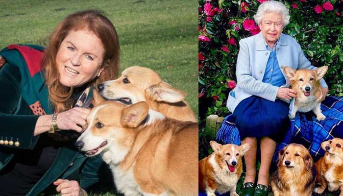 Sarah Ferguson shares shocking news about late Queen and her corgis