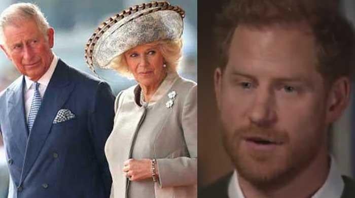 Prince Harry Regrets 'attack' On Queen Camilla After Fresh Snub From ...