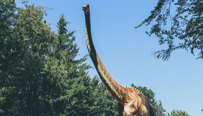 (representational) Image shows a brown dinosaur with a long neck.— Pexels