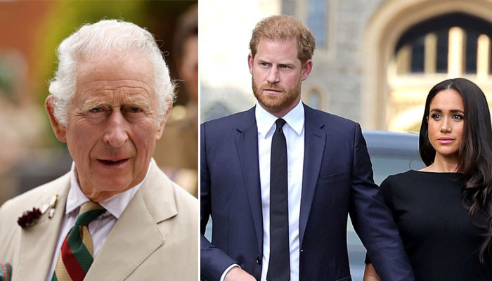 Prince Harry crossed lines with ‘flagrant disregard’ using Camilla as ...