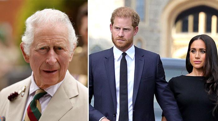 Prince Harry crossed lines with ‘flagrant disregard’ using Camilla as ...