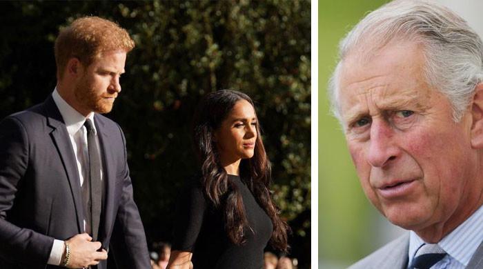 Meghan Markle, Prince Harry’s power struggles with King Charles ...