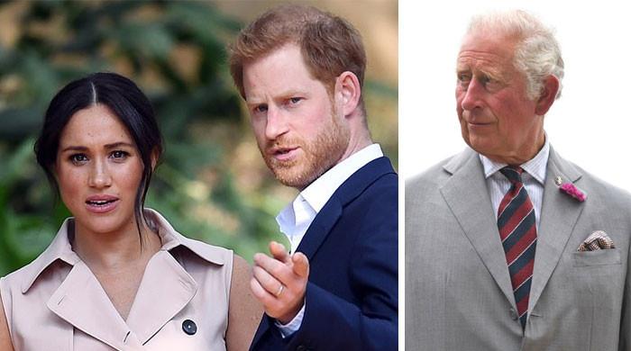 Prince Harry, Meghan Markle’s ‘petty, trite grievances’ of no interest ...