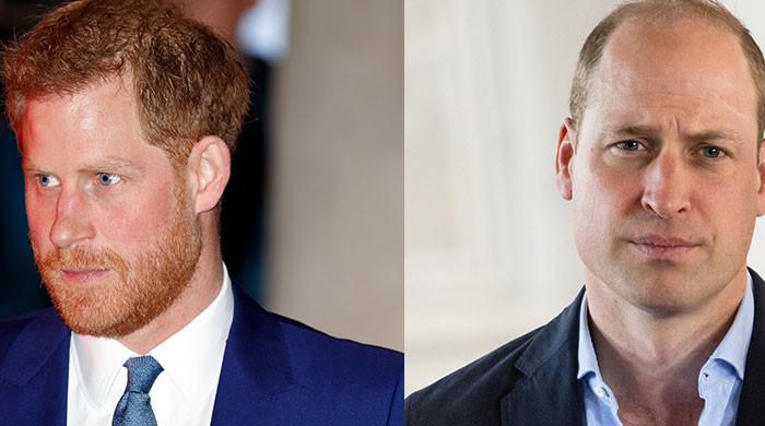 Prince Harry admitted media would 'protect' William as Rose Hanury ...