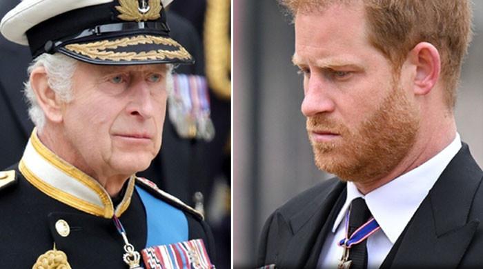 Prince Harry ‘was never expected’ by King Charles: ‘Stark example of ...