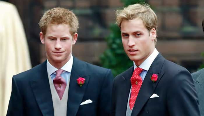 Prince William, Prince Harry would sneak into pubs as teenagers