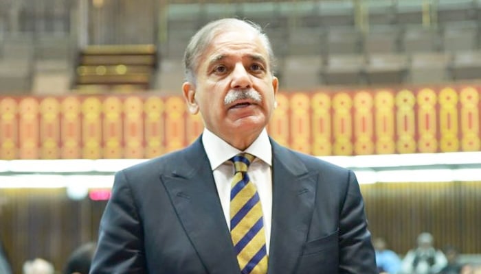 Prime Minister Shehbaz Sharif speaks on the floor of the National Assembly. — APP/File