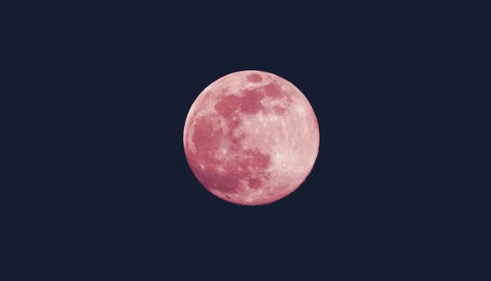 The full moon in April is known as the Pink Moon after the pink phlox wildflowers.— Unsplash